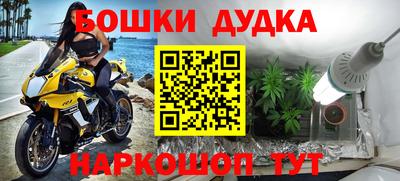 прущие грибы Донской