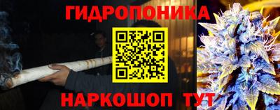 трава Дубна