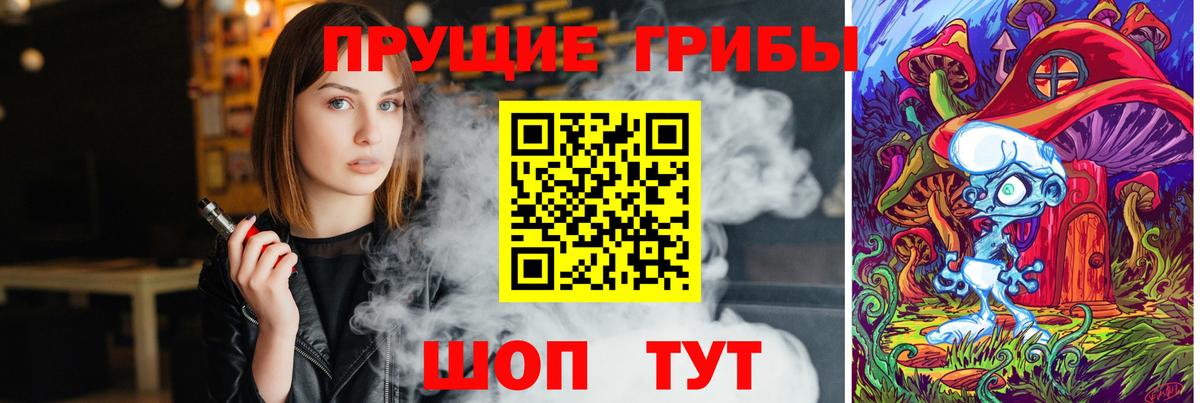 Псилоцибиновые грибы GOLDEN TEACHER Ликино-Дулёво